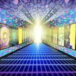 singletrans profile picture