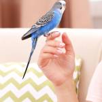 Vrouw3525 Profile Picture