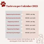 test1234456 Profile Picture